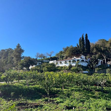 Finca Los Arcos Del Laurel Moya  Buitenkant foto