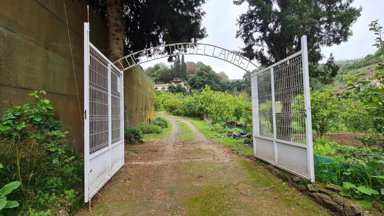 Finca Los Arcos Del Laurel Moya  Buitenkant foto