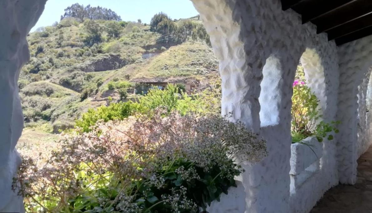 Finca Los Arcos Del Laurel Moya  Buitenkant foto