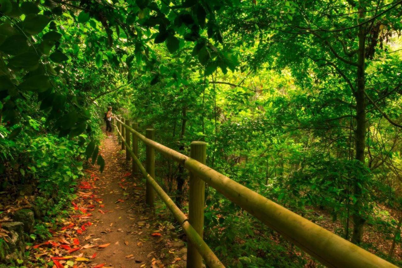 Finca Los Arcos Del Laurel Moya  Buitenkant foto