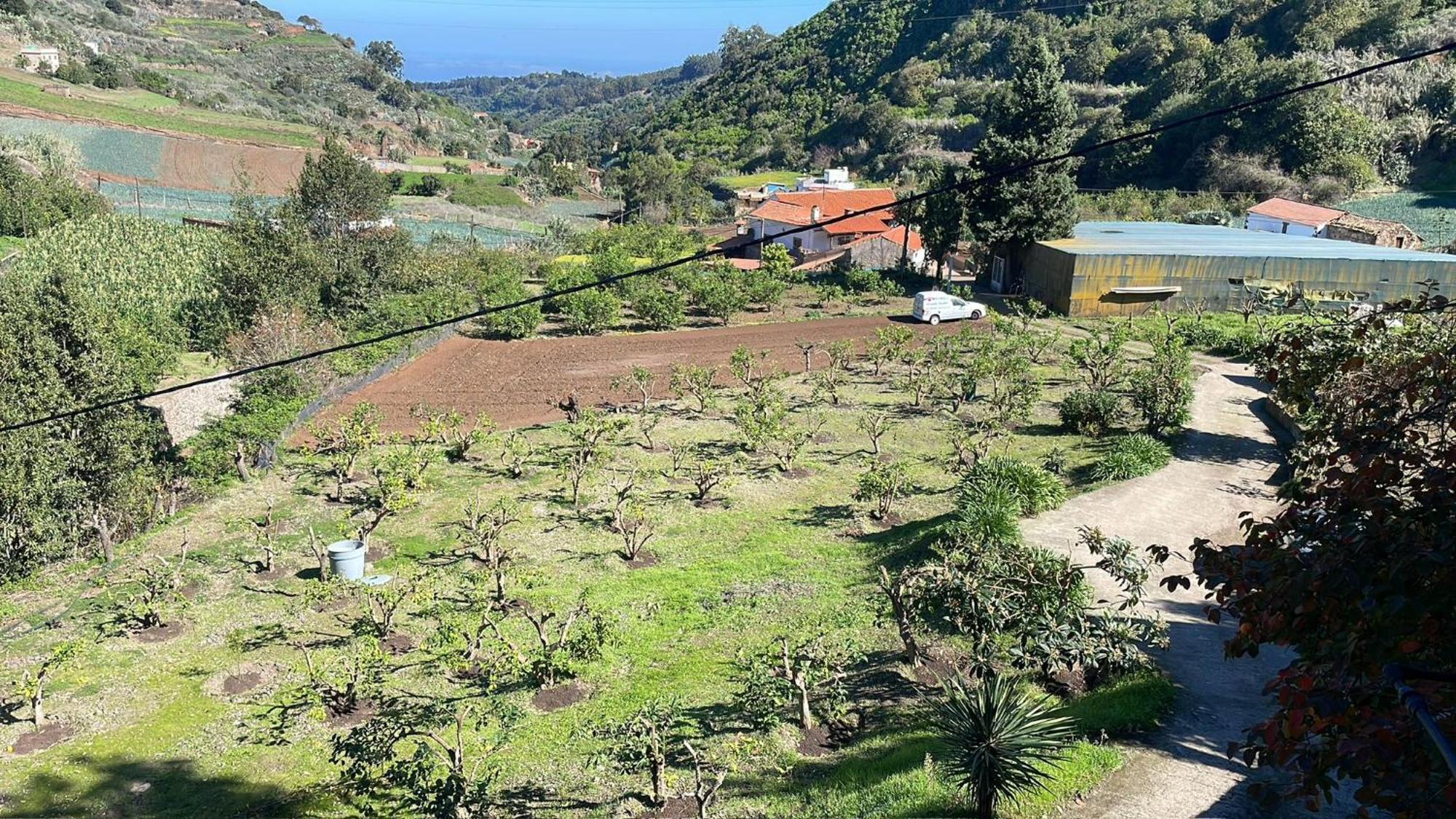 Finca Los Arcos Del Laurel Moya  Buitenkant foto