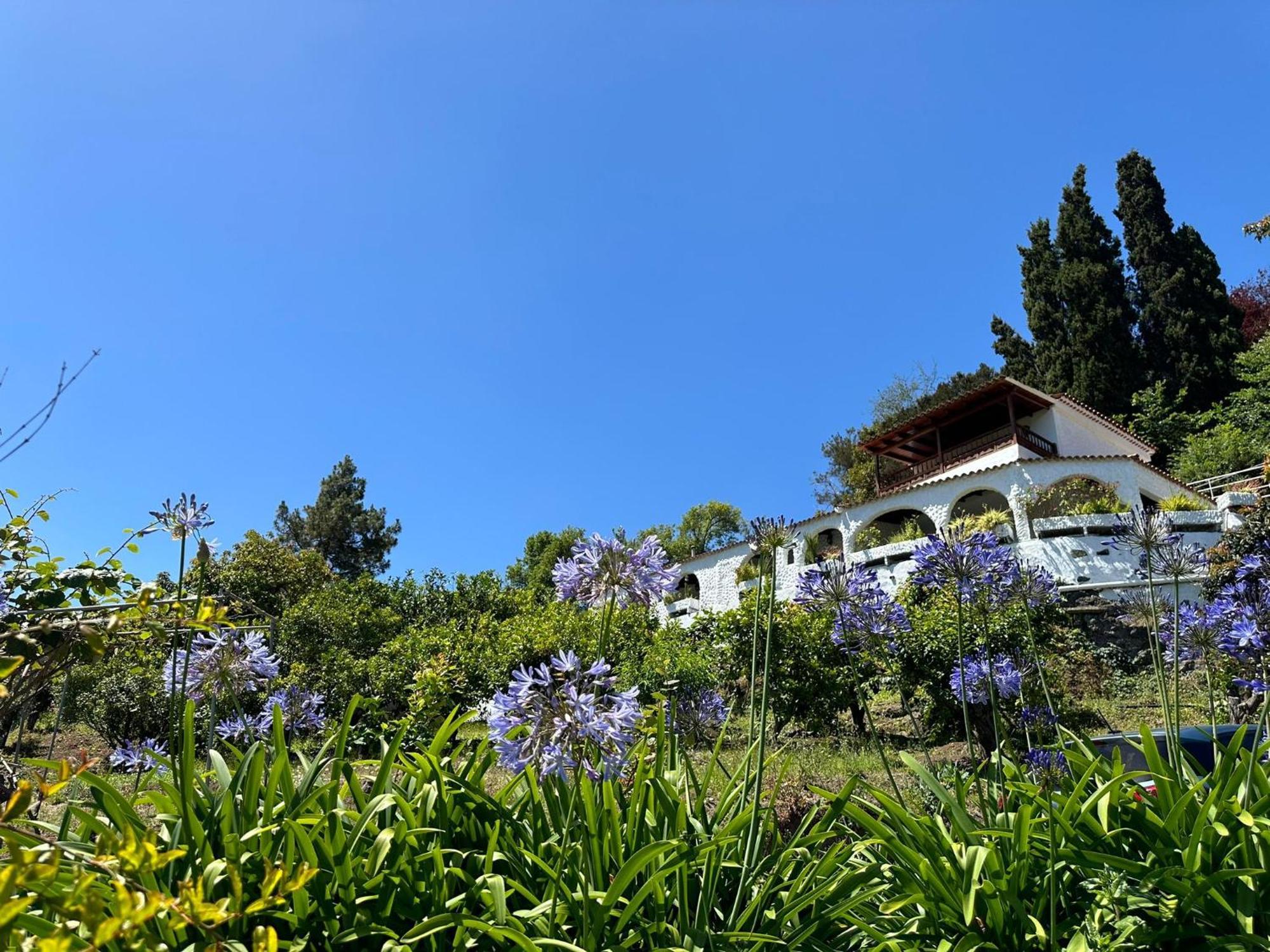 Finca Los Arcos Del Laurel Moya  Buitenkant foto
